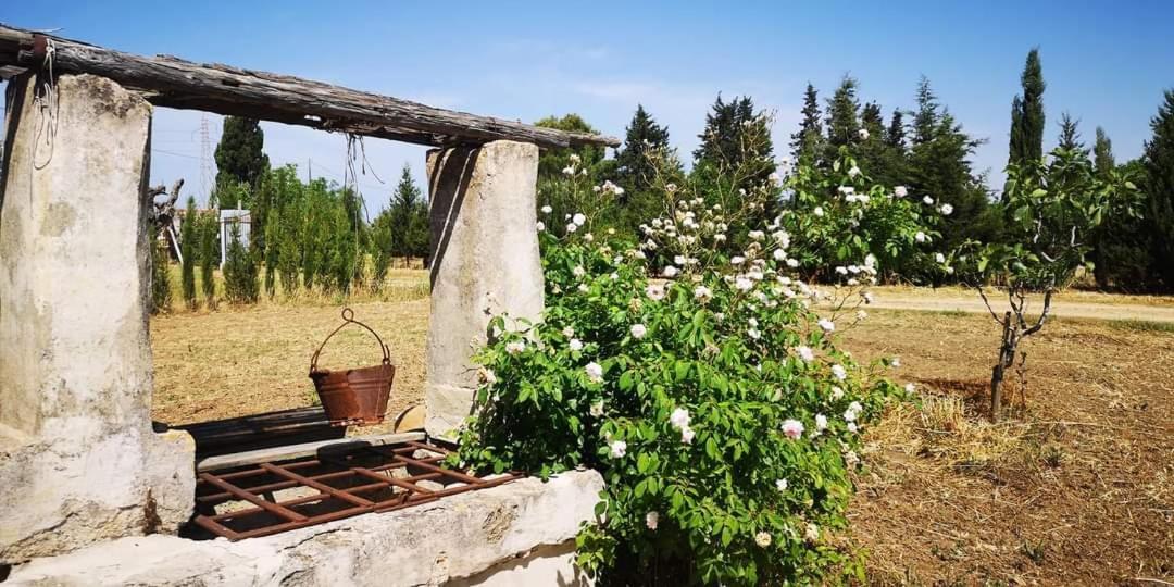Le Cernicole Villa Melissano Exterior foto